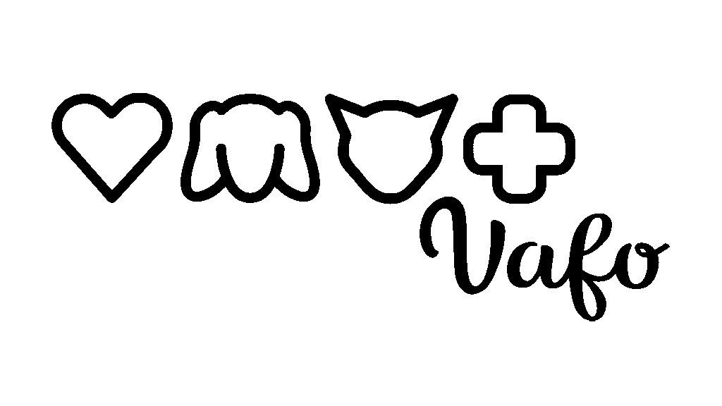 Logo VAFO